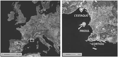 One-Single Extraction Procedure for the Simultaneous Determination of a Wide Range of Polar and Nonpolar Organic Contaminants in Seawater